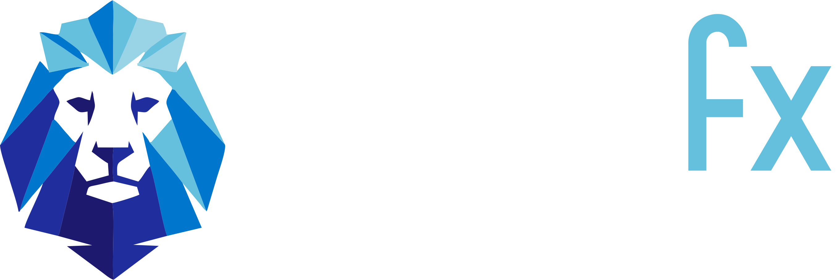 PolyFxMarket


